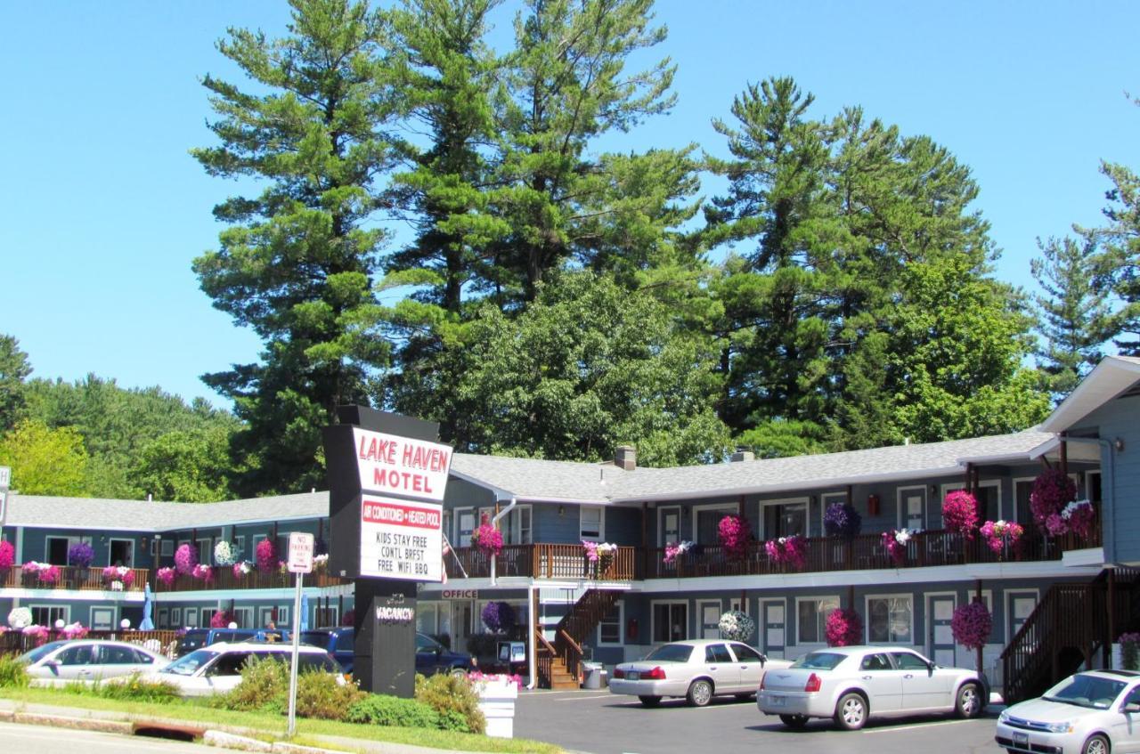 بحيرة جورج Lake Haven Motel المظهر الخارجي الصورة